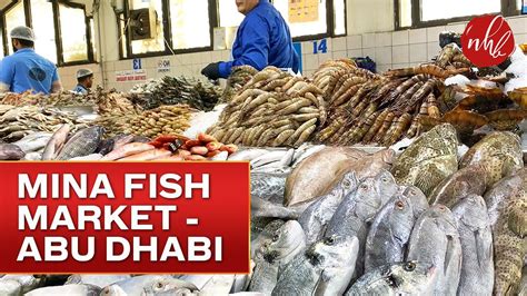 Mina Fish Market Abu Dhabi Abu Dhabi Mina Fish Market Uae 4k