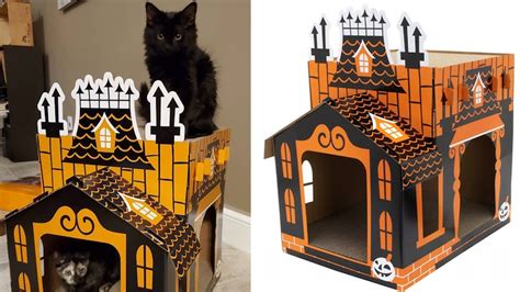 Targets Haunted House Cat Scratches Are Adorably Spooky