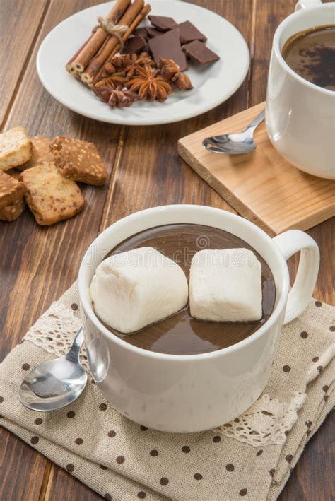 Mug Filled With Homemade Hot Chocolate Spice With Cookies Stock Photo