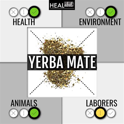 Yerba Mate Health Benefits Archives Healabel