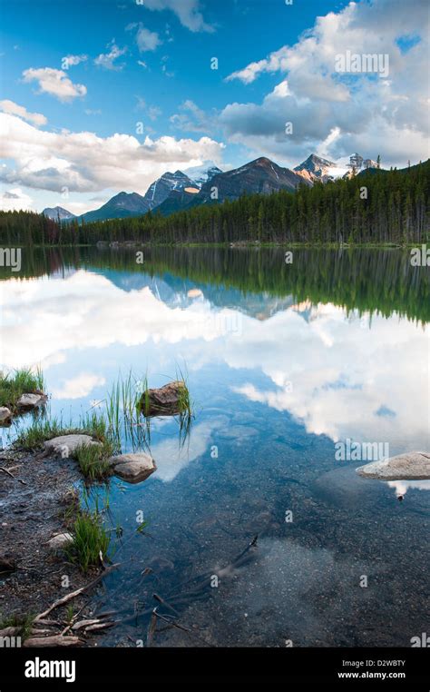 Mountain Panorama From Herbert Lake At The Icefield Parkway In Banff