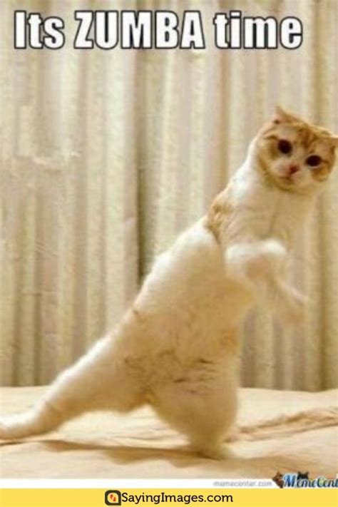 20 Funniest Zumba Memes You Must See In 2020 Funny Animal Pictures