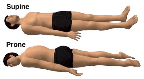 Difference Between Prone And Supine Position Compare The Difference