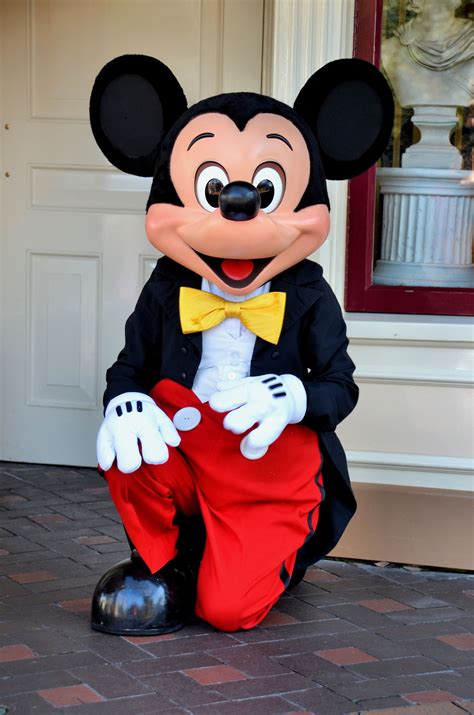 Mickey Mouse In Disneyland