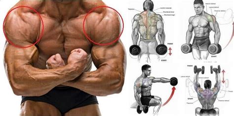 One Of The Most Often Neglected Muscle Groups Is Part Of The Upper Body The One Youd Think