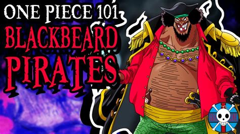 The Blackbeard Pirates Explained One Piece 101 Youtube