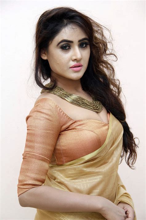 Telugu Actress Sony Charishta Hot In Saree Photos Telugu Actress Gallery