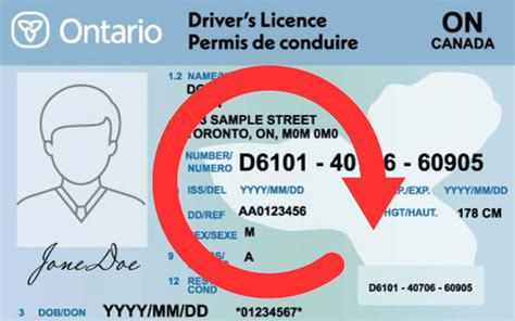 Renew A Drivers Licence Ontario Quickly And Cheaply Smartphone Id