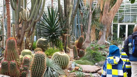 Exotische falter aus aller welt. Familien-Ausflug in den Botanischen Garten München ...