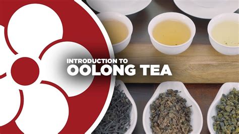 What Is Oolong Tea Youtube
