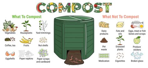 Composting Faqs For Beginners The Basics Explained Tamborasi