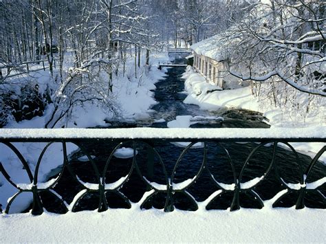 Wallpaper Water Reflection Snow Winter Branch Ice Frost Bridge