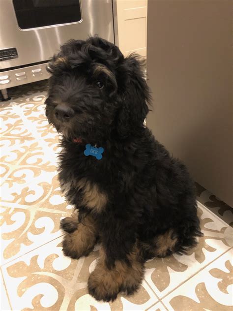 The Kids Are Alright — Julian Mountain Doodles