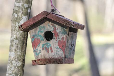 Small Wooden Bird House In Nature Stock Photo Image Of Copyspace