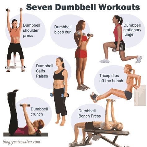 Belly Fat Burning Exercises With Dumbbells Exercisewalls