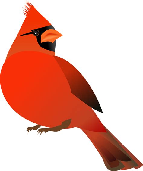 Onlinelabels Clip Art Red Cardinal