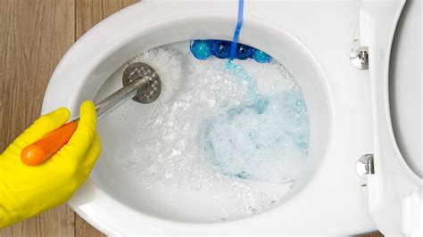 The Best Ways To Get Rid Of Hard Water Stains In Your Toilet