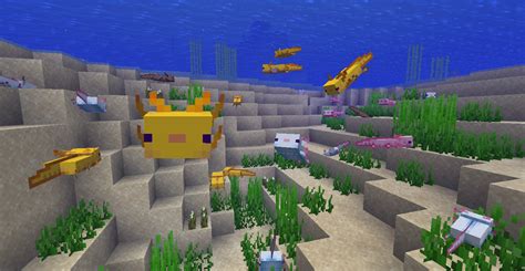 How To Breed An Axolotl In Minecraft