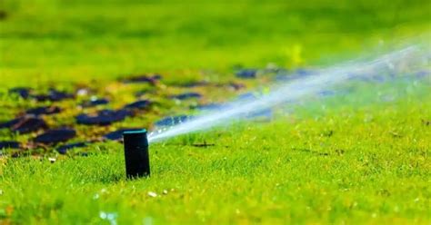 How To Replace A Sprinkler Head Smart Earth Sprinklers Austin