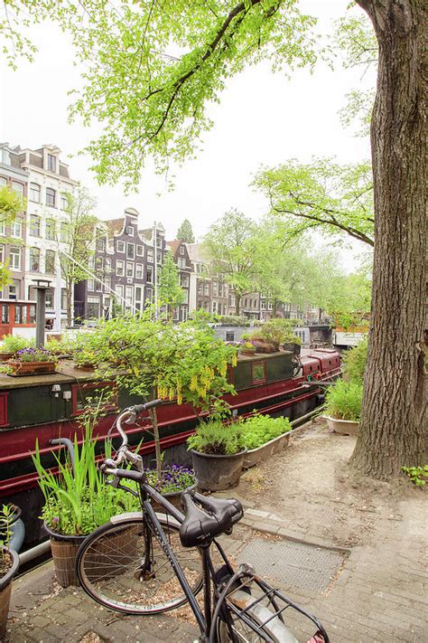 Amsterdam Living Photograph By Georgia Fowler Fine Art America