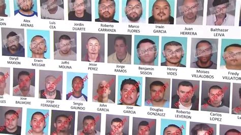 Dozens Of Suspected Ms 13 Gang Members Taken Into Custody In 50 Raids Across La County Ktla