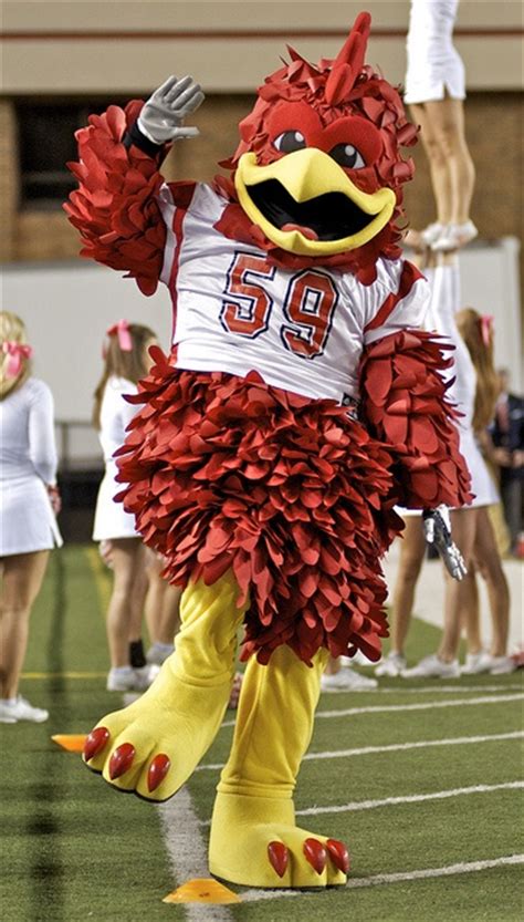 Cocky Jacksonville States Mascot Jacksonville State Mascot Jacksonville