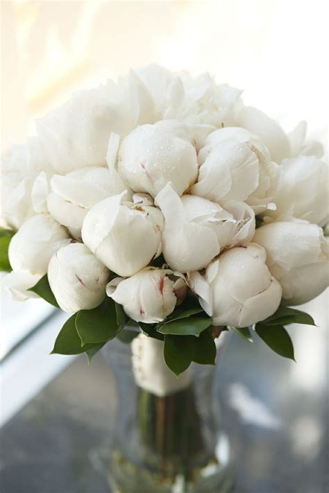A Pure White Peony Bouquet White Peonies Bouquet Flower