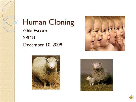 Ppt Human Cloning Powerpoint Presentation Id4921773