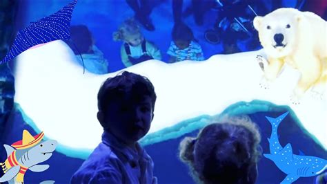 Sea Life London Aquarium Youtube