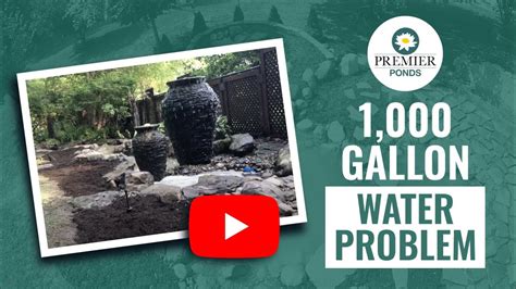 1000 Gallon Pond Installation Premier Ponds Youtube