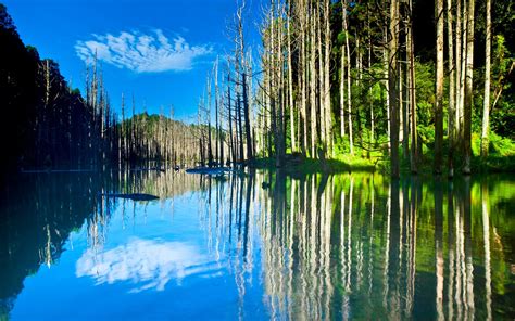 Beautiful nature scenery, lake, trees, water reflection, sun wallpaper ...