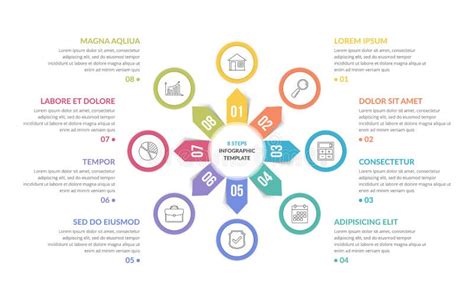 Circle Infographics Eight Elements Stock Vector Illustration Of