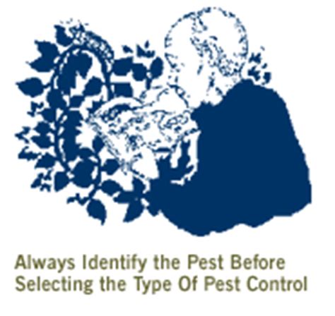 Search dpr's extensive database of pesticide use, endangered species, and ground water protection area information. Pest Control & Pesticide Information for Homeowners