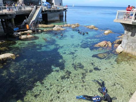 21 Magnificent Things To Do In Monterey California California Crossroads