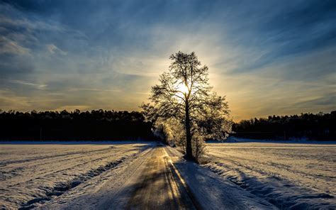 Frost Nature Landscapes Roads Winter Snow Trees Sky Clouds
