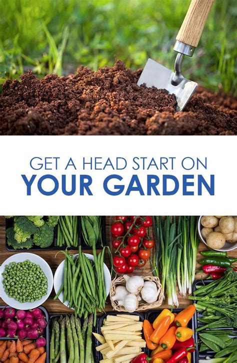 15 Early Spring Vegetable Garden Ideas You Cannot Miss Sharonsable