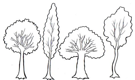 Dibujos De árboles Para Descargar Imprimir Y Colorear Colorear Imágenes