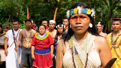 Indigenous Woman Wins Goldman Environmental Prize For Protecting 500000 Acres Of Amazon