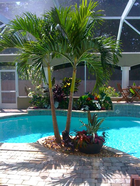 Pin By Michelle Amaral On Tropical Poolside Landscaping Backyard Pool