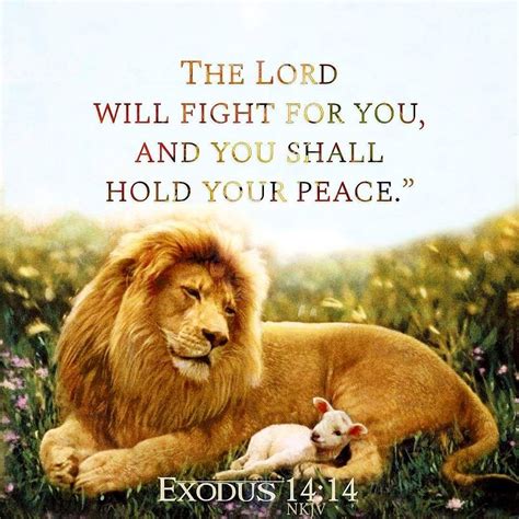 The Lord Will Fight For You And You Shall Hold Your Peace” Exodus 14