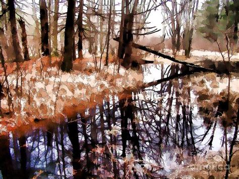 Hike Around By Betsy Zimmerli Fine Art America Fine Art Wetland