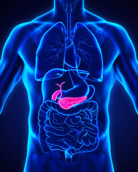 Gallbladder Diseases Us Digestive Health