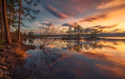 Wallpaper Forest The Sky Sunset Lake Norway Norway Ringerike Ole
