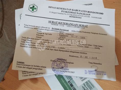 Detail Surat Keterangan Sehat Dari Puskesmas Koleksi Nomer 53