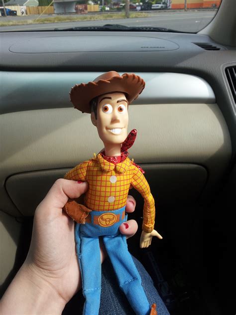 I Saved Woody Today Woody Crafty My Saved