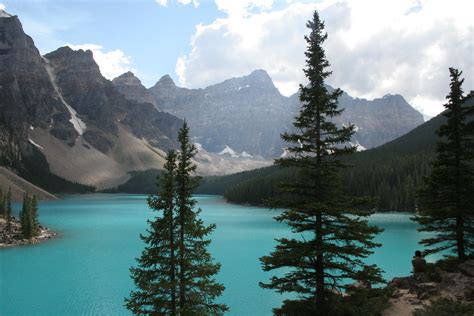 Body Of Water Surrounded By Pine Trees Near Mountain Banff Hd