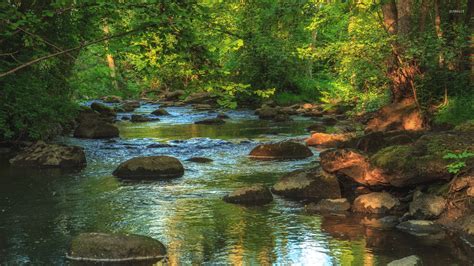Rocky River In The Forest Wallpaper Nature Wallpapers 48031