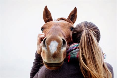 Horse Gives Equestrian A Hug During Equine Photography Shoot In