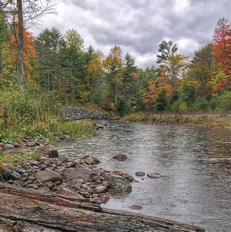 Potential Changes For New York State Trout Stream Management