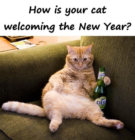 Funny Happy New Year Cat Meme Agc